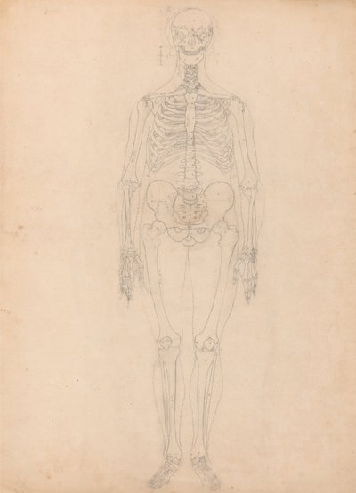 A Comparative Anatomical Exposition of the Structure of the Human Body with That of a Tiger and a Cow by George Stubbs